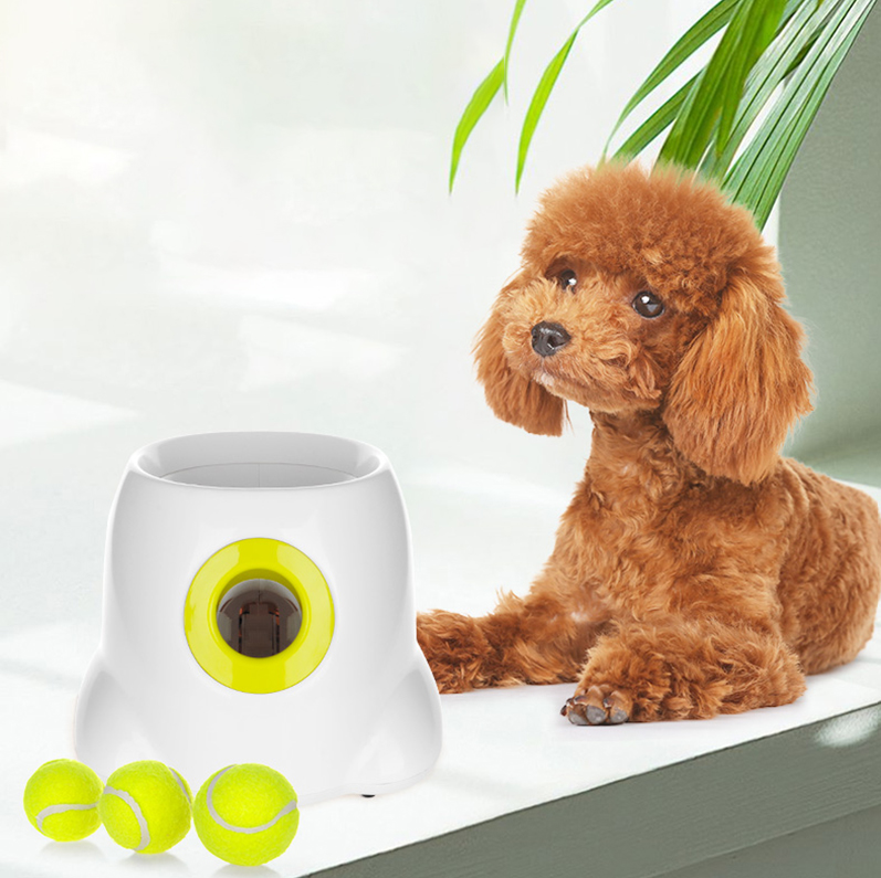 Automatic Tennis Ball Launcher for puppies