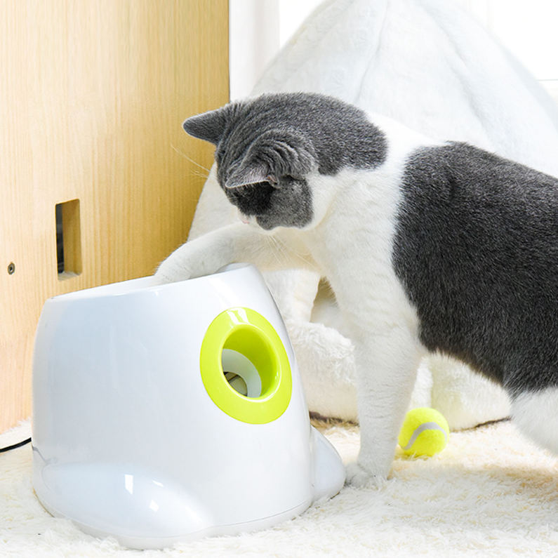 Automatic Tennis Ball Launcher used by cat