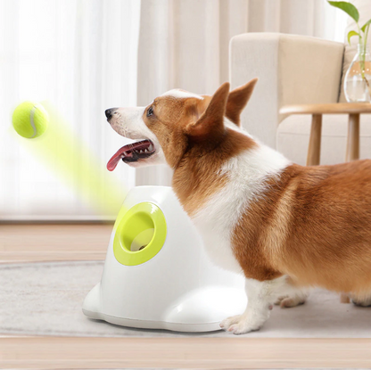 Automatic Tennis Ball Launcher in use by a dog